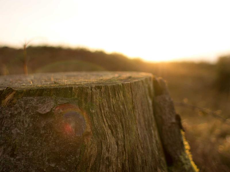 android screenshot 3